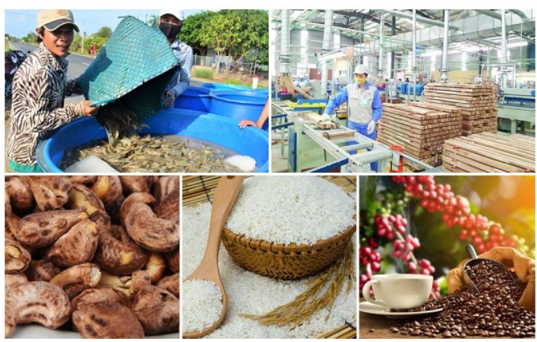 Các vấn đề kinh tế cơ bản của xã hội