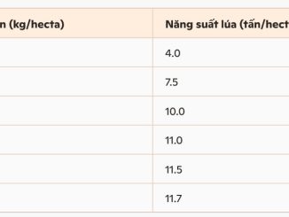Quy luật hiệu suất giảm dần