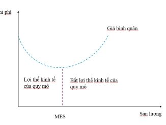 Lợi thế về kinh tế