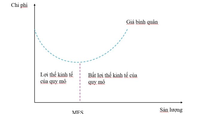 Lợi thế về kinh tế Lợi thế về kinh tế