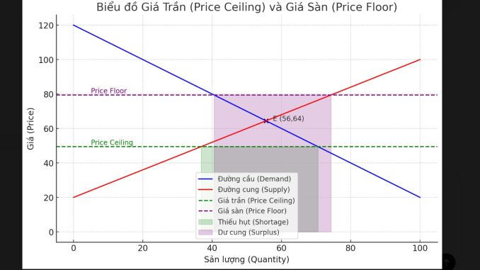 giá trần và giá sàn 1 giá trần và giá sàn 1