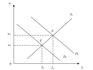 Thị trường lao động 1