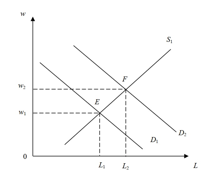 Thị trường lao động 1