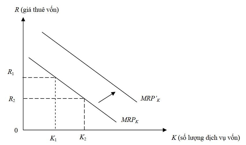 Thị trường vốn (hiện vật)