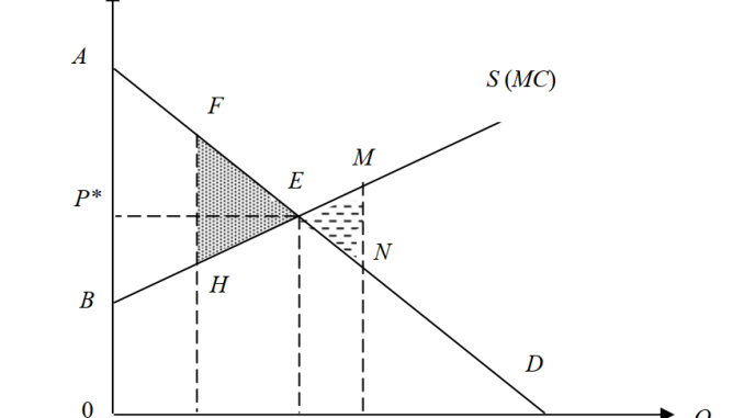 Lợi ích ròng của xã hội
