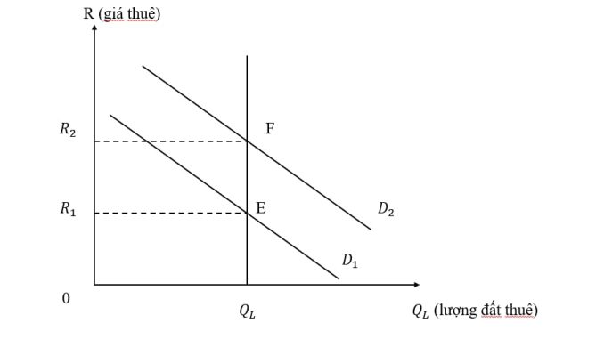 Thị trường đất đai